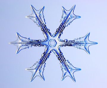 Snowflakes_www.pixanews-5